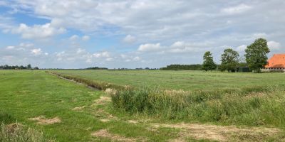 De kleine Friese klompen